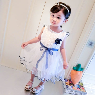 New Summer Mesh Girls Clothes with white Applique Princess and butterfly